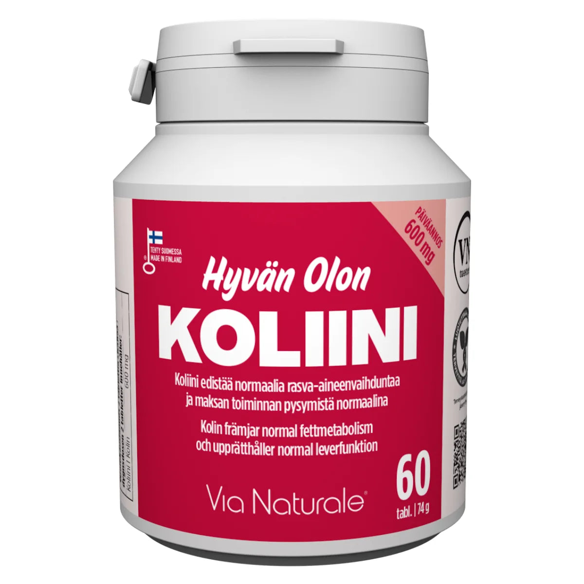 Hyvän Olon Koliini 600 mg tabletti 60 kpl