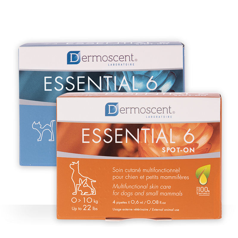 DERMOSCENT Essential 6® spot-on rasvahappovalmiste, koiralle 10-20 kg 4 pipettiä