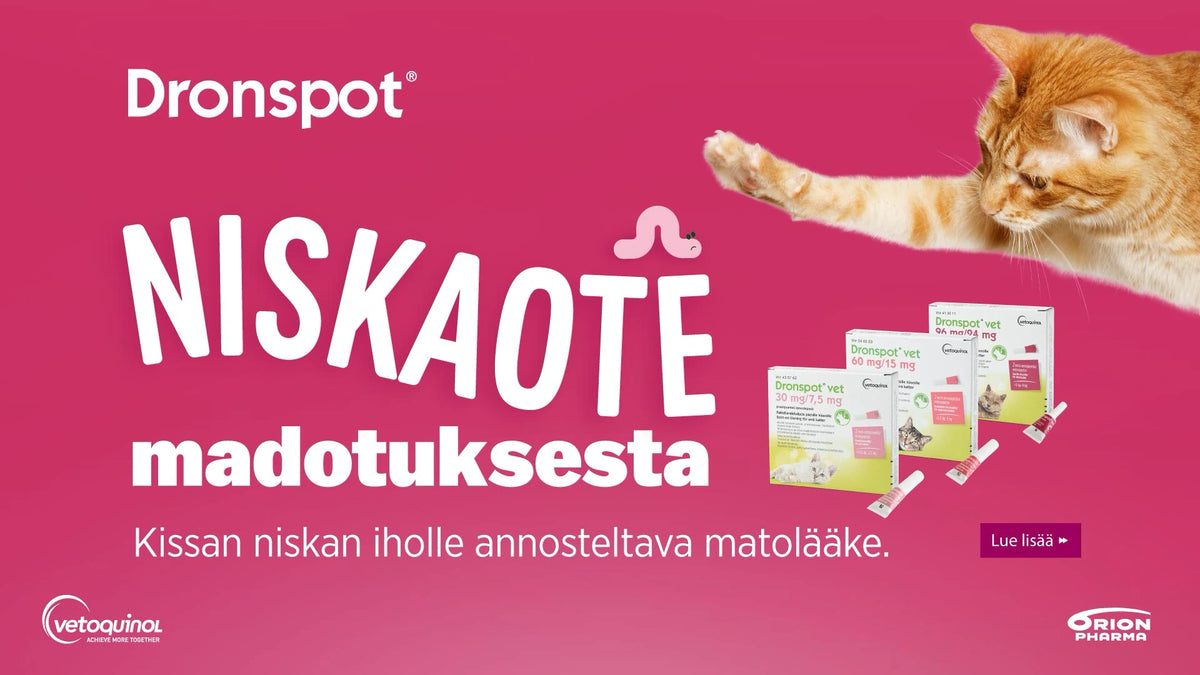Dronspot matolääke kissalle