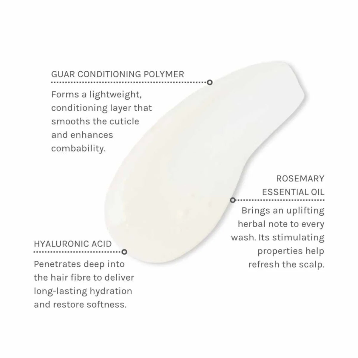 Evolve Organic Beauty Hyaluronic Hydrating Shampoo kosteuttavat aineosat