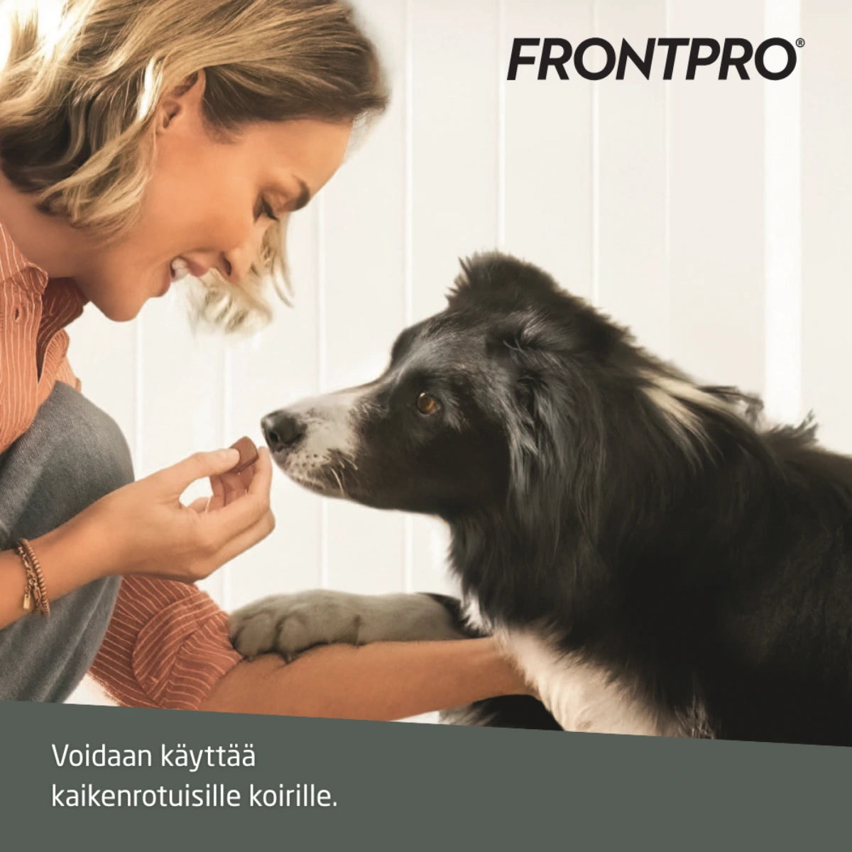 Frontpro: voidaan käyttää kaikenrotuisille koirille