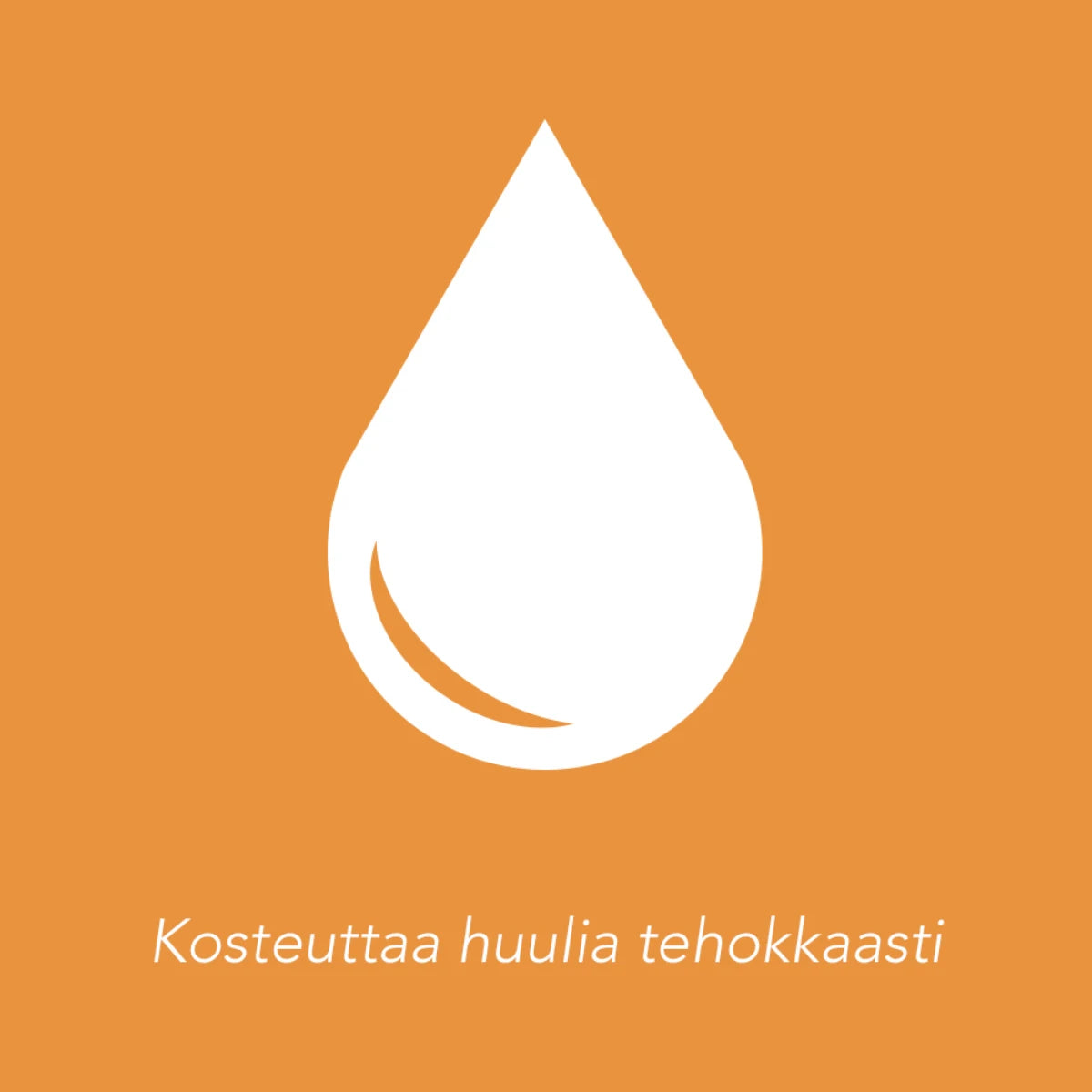 PIZ BUIN Lipstick SPF30 Aloe Vera huulivoide 4,9 g kosteuttaa huulia tehokkaasti