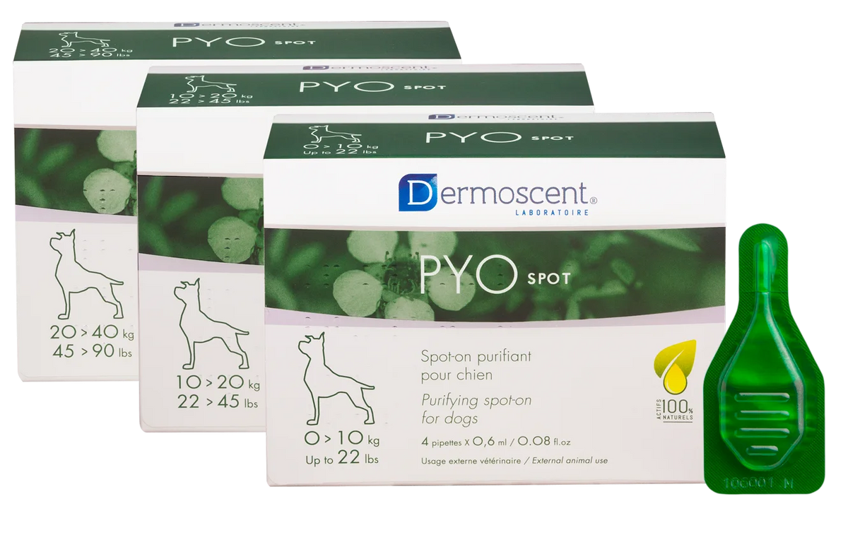 PYOSPOT Dog spot-on puhdistava paikallisvaleluliuos  10-20 kg koirille 4x1,2 ml