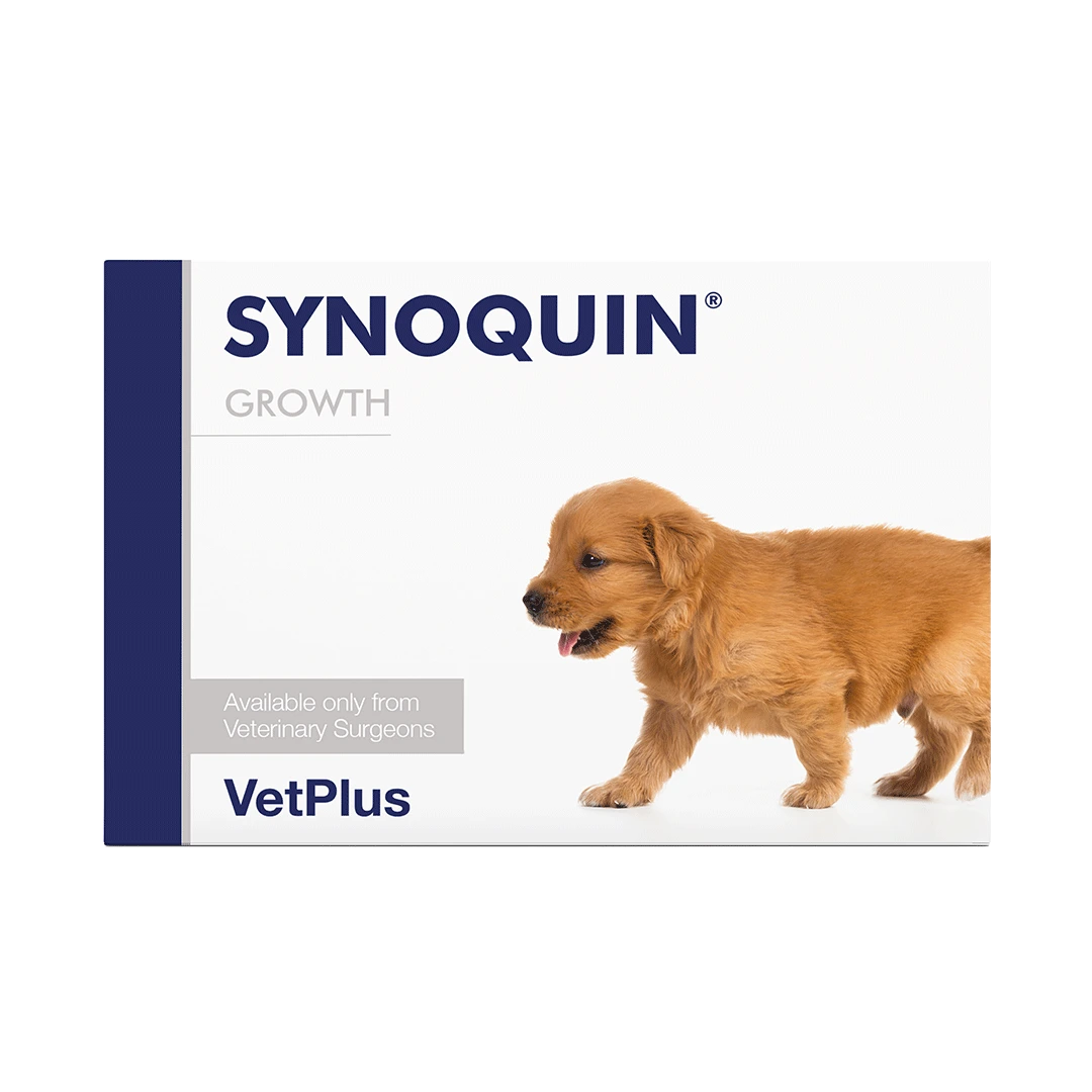 SYNOQUIN Growth täydennysrehuvalmiste tabletit kasvuikäisille koirille 60 tablettia